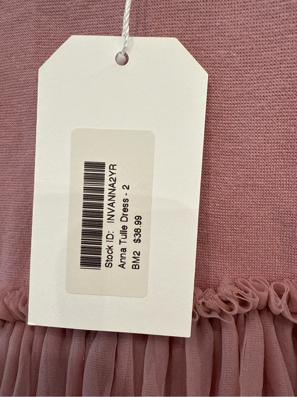 Jamie Kay Anna Tulle Dress Dusty Rose Long Sleeve NWT 2 Years - Picture 3 of 4